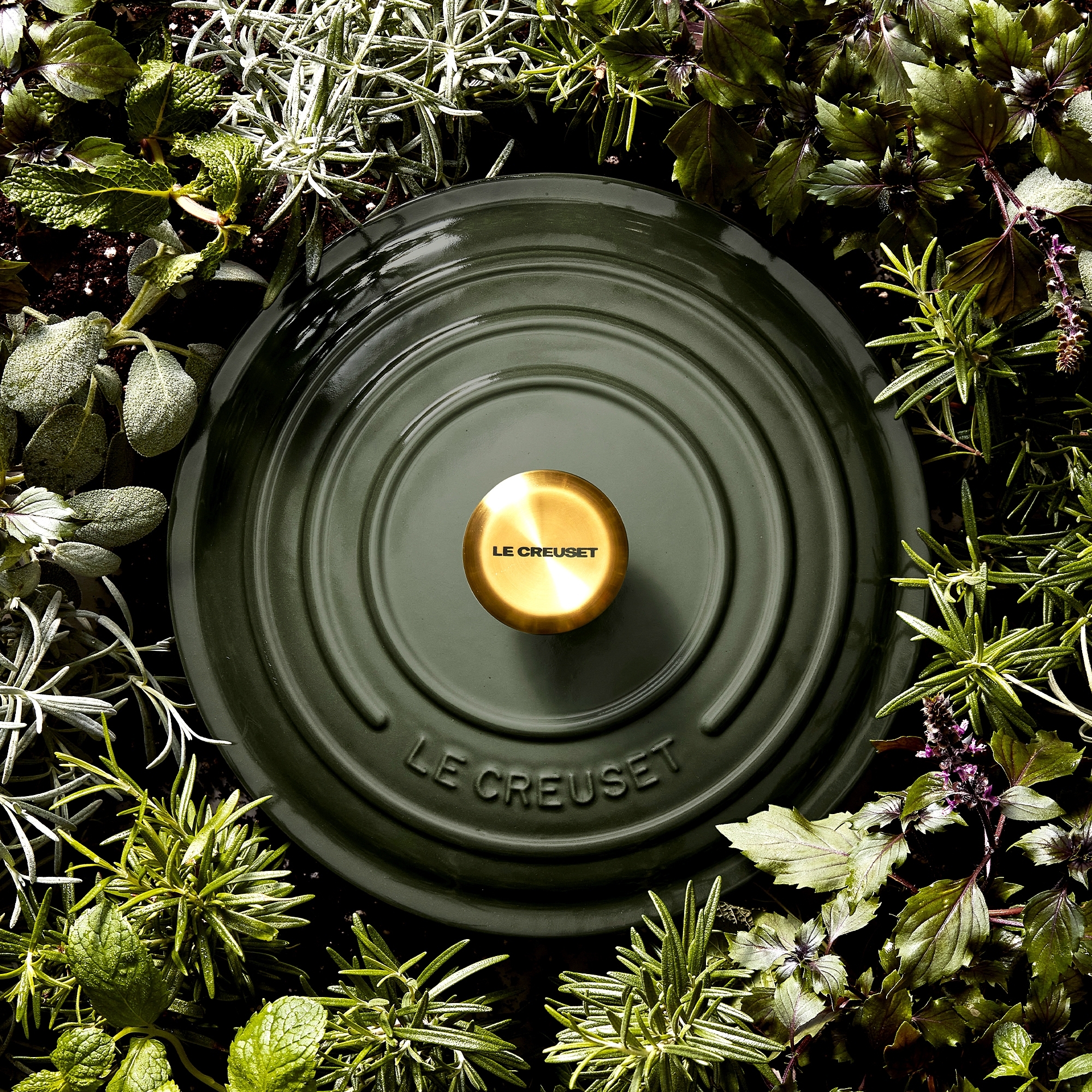 Le Creuset - Signature Round Casserole